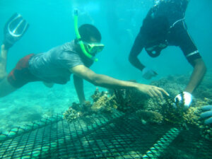 Korallenrettung4_Quelle_Kurumba_Maldives