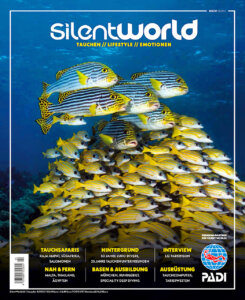 Cover Silent World 4-2022
