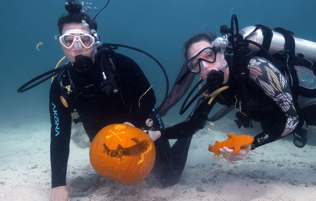 Unterwasser-Kürbisschnitz-Wettbewerb in den Florida