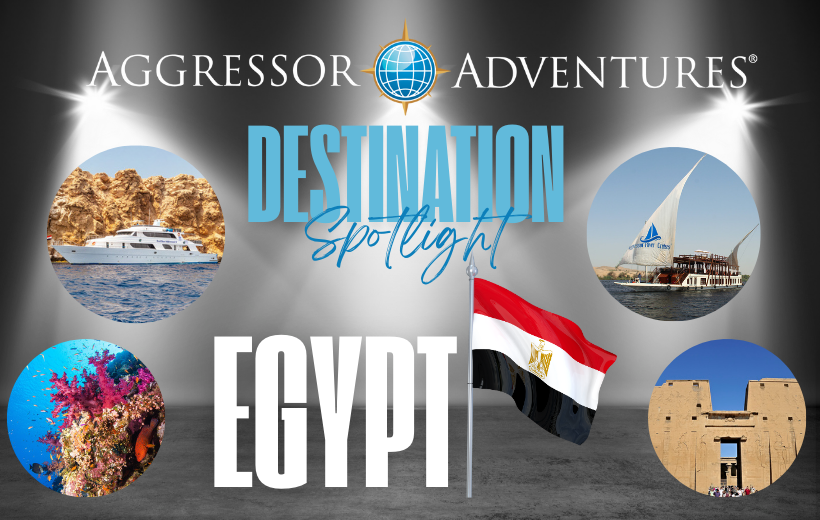 Destination Spotlight DNW (820×520) Aggressor-Ägypten