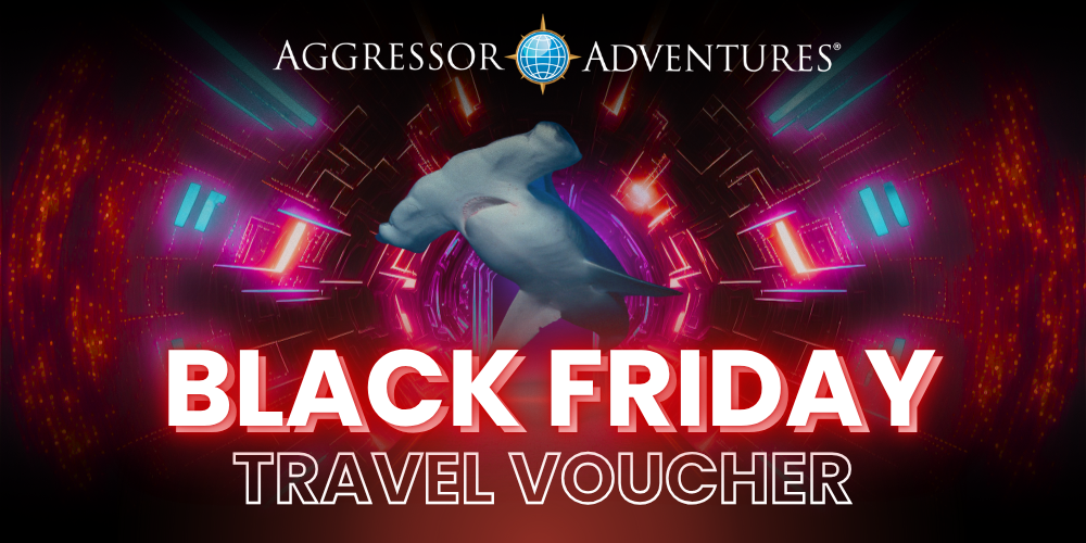Black Friday bei Aggressor