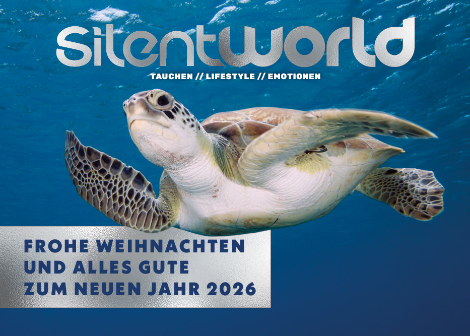 Weihnachtsgrusskarte_Silent World 2025 Frohe Feuertage