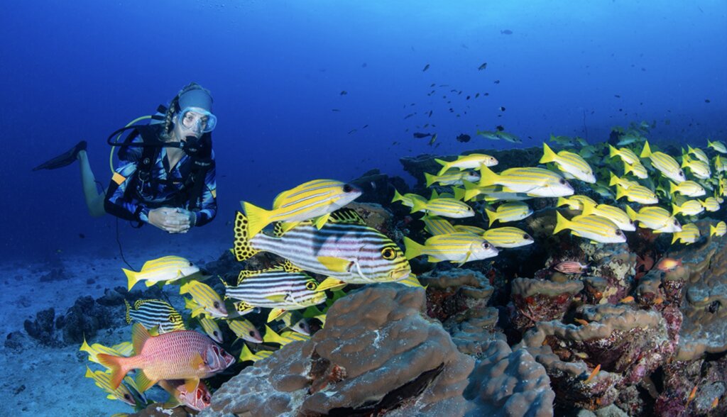 Bild: Stuart Philpott