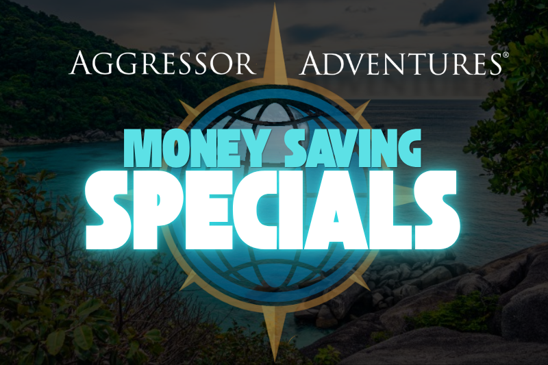 Specials Bundle (800 x 533 px) Aggressor Angebote