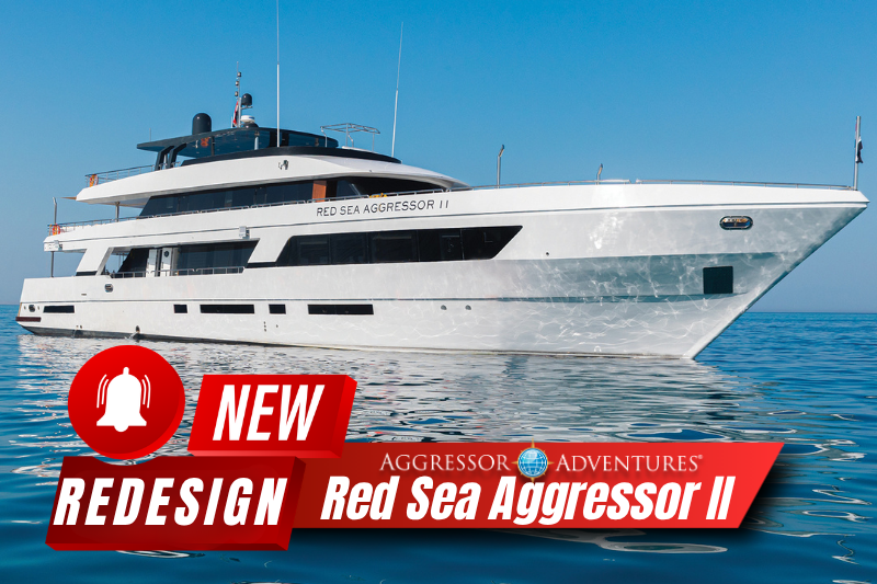 RSAII Redesign (800 x 533 px) Red Sea Aggressor II